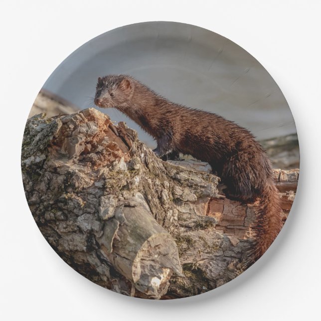 American Mink Paper Plates (Front)