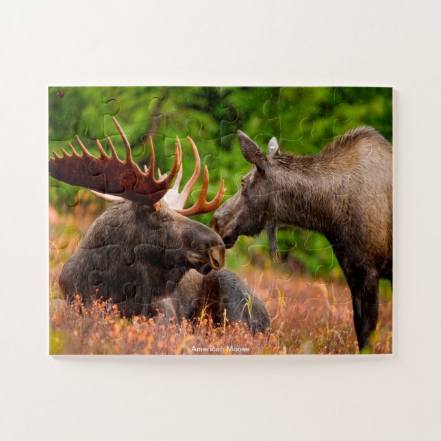 American Moose Jigsaw Puzzle (Horizontal)