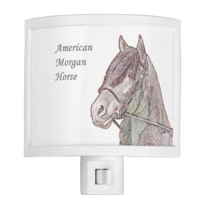 American Morgan Horse Night light