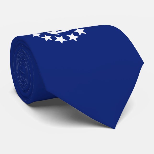 American Nautical Yacht Flag Anchor Stars Neck Tie (Rolled)