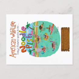 American Noodle Fish Postcard