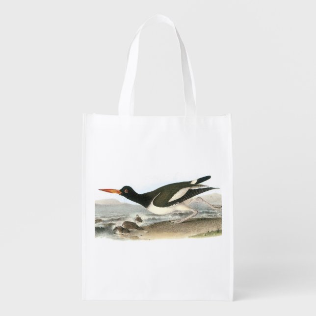 American Oystercatcher by Audubon Grocery Bag (Front)