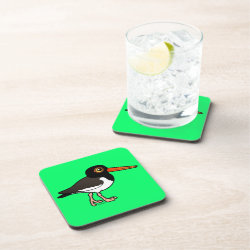 American Oystercatcher Beverage Coaster