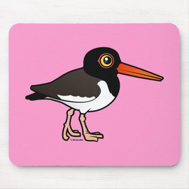 American Oystercatcher Mouse Pad (Front)