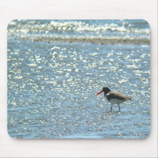American Oystercatcher Mousepad
