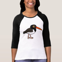 American Oystercatcher Ladies Raglan Fitted T-Shirt