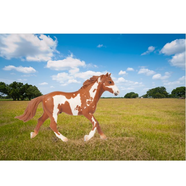 American Paint Horse T-Shirt (Creator Uploaded)