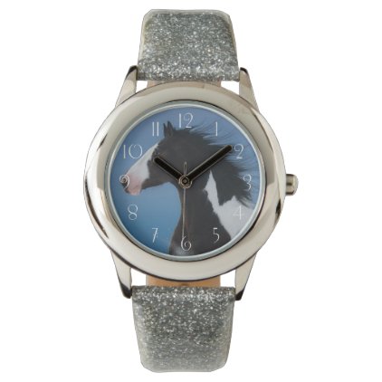 American paint horse watch