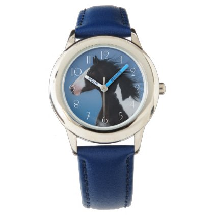 American paint horse watch