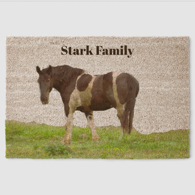 American Painted Horse Personalized Doormat Fiber Doormat (Front)