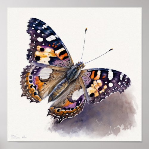 American Painted Lady Butterfly Art Print Poster