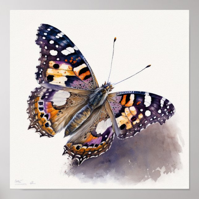 American Painted Lady Butterfly Art Print Poster (Front)