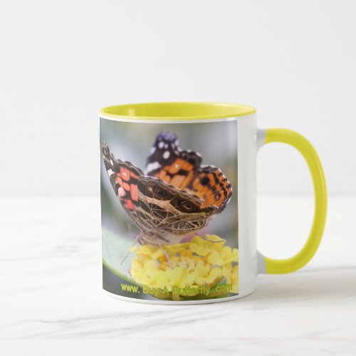 American Painted Lady Butterfly Lifecycle Coffee M Mug