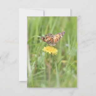American Painted Lady Butterfly Notecard
