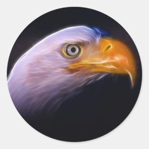 American Patriotic Bald Eagle, National Symbol Classic Round Sticker