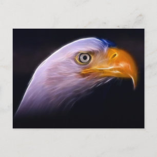 American Patriotic Bald Eagle, National Symbol Postcard