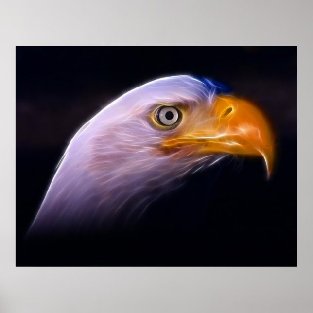 American Patriotic Bald Eagle, National Symbol Poster (Front)