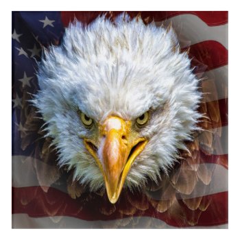 American Patriotic Eagle Acrylic Print by sharonrhea at Zazzle