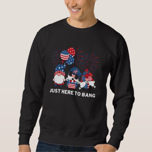 American Patriotic Gnomes Just Here To Bang Firewo Sweatshirt