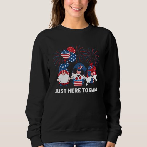 American Patriotic Gnomes Just Here To Bang Firewo Sweatshirt