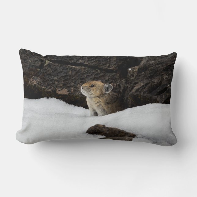 American Pike in Snowbank Lumbar Pillow (Front)