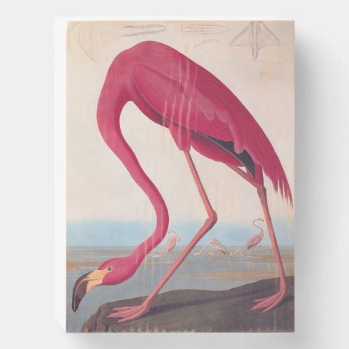 American Pink Flamingo Audubon Vintage Bird Art Wooden Box Sign