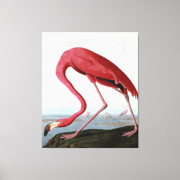 American Pink Flamingo Gift Lover| Sketch Flamingo Canvas Print