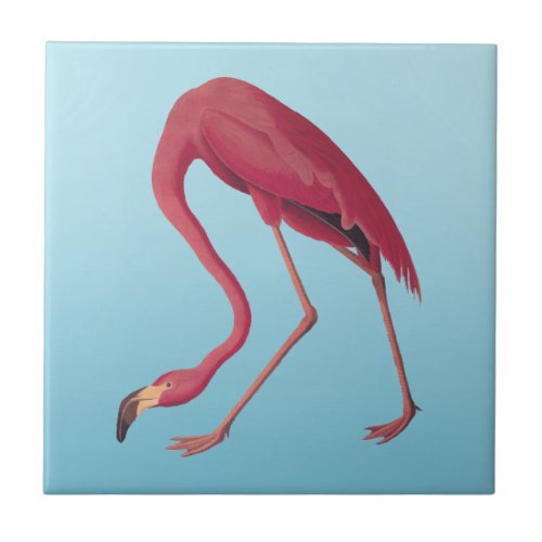 American Pink Flamingo Vintage Art Ceramic Tile