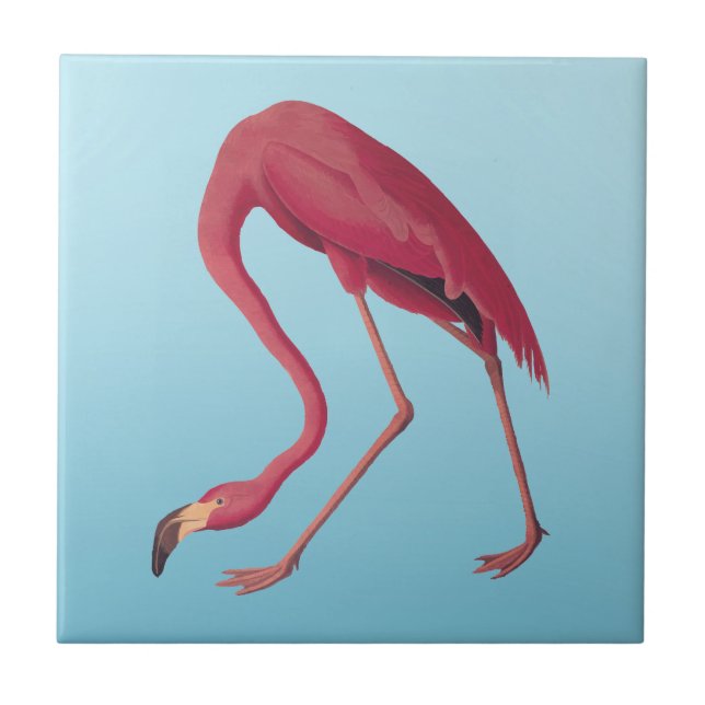 American Pink Flamingo Vintage Art Ceramic Tile (Front)