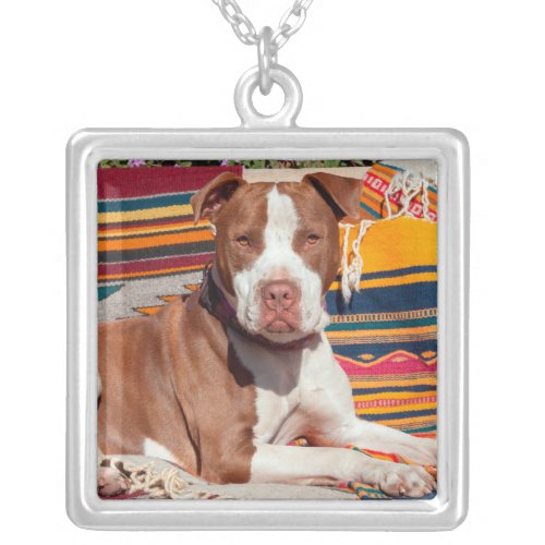 American Pit Bull lying on blankets Silver Plated Necklace