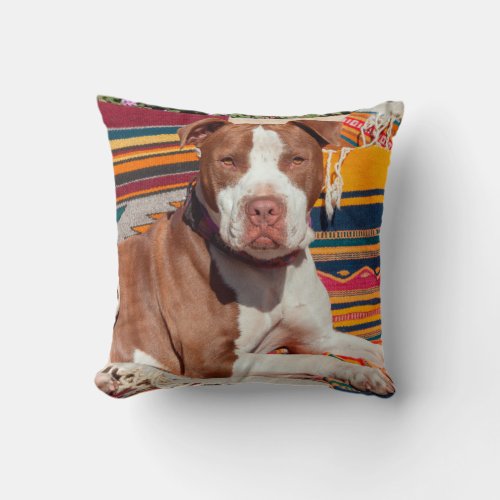 American Pit Bull lying on blankets Throw Pillow