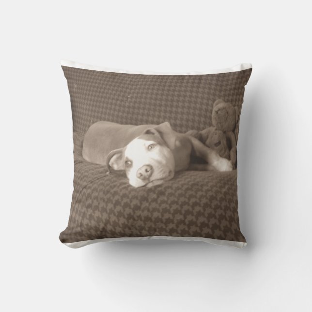 American_Pit_Bull_Terrier_and_teddy_bear_on_couch. Throw Pillow (Front)