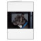 American Pit Bull Terrier
