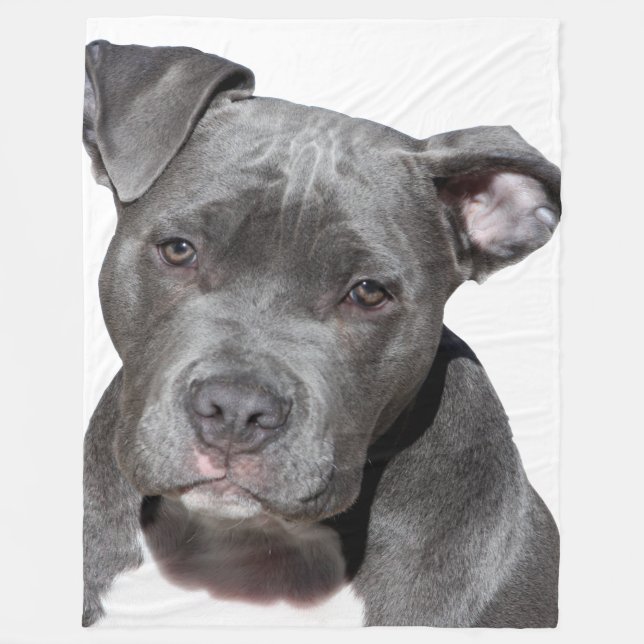 American Pit Bull Terrier Fleece Blanket (Front)