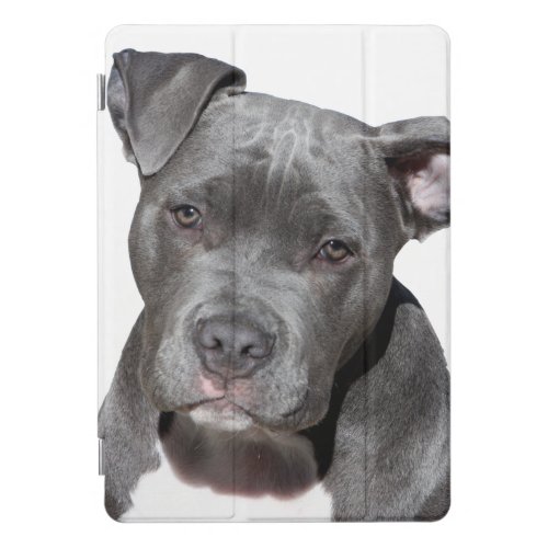 American Pit Bull Terrier iPad Pro Cover