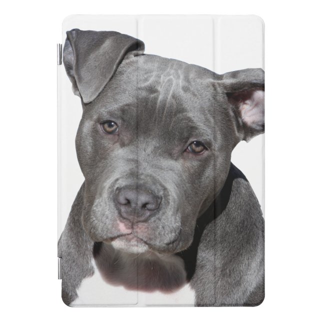 American Pit Bull Terrier iPad Pro Cover (Front)