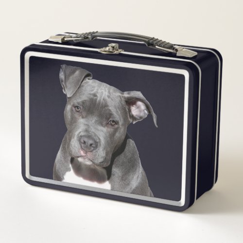 American Pit Bull Terrier Metal Lunch Box