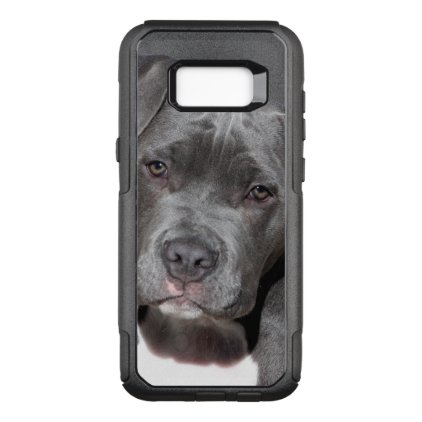 American Pit Bull Terrier OtterBox Commuter Samsung Galaxy S8+ Case