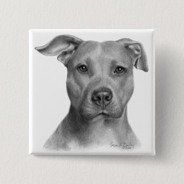 American Pit Bull Terrier Pinback Button (Front)