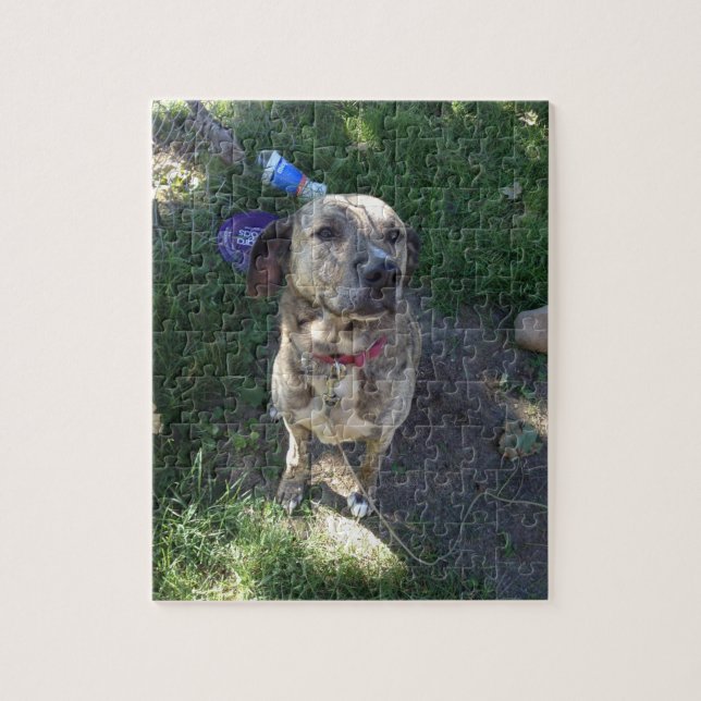American Pit Bull Terrier Puzzle (Vertical)