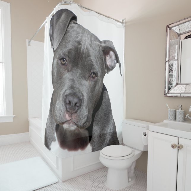 American Pit Bull Terrier Shower Curtain (In Situ)