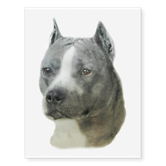 American Pit Bull Terrier Temporary Tattoos