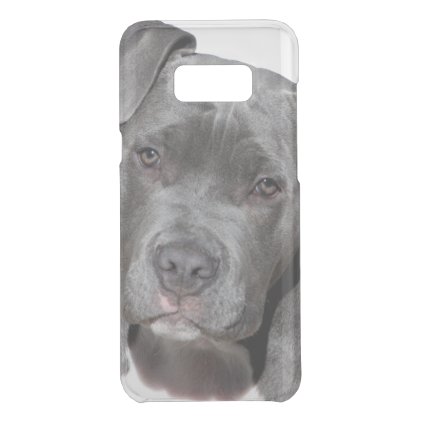 American Pit Bull Terrier Uncommon Samsung Galaxy S8+ Case