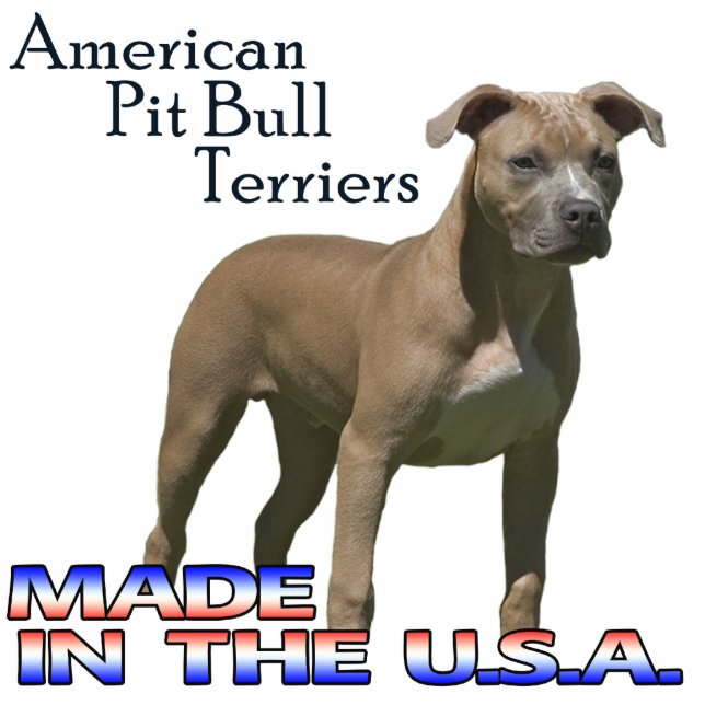 American Pit Bull Terriers  Paper Sculpture (Front)