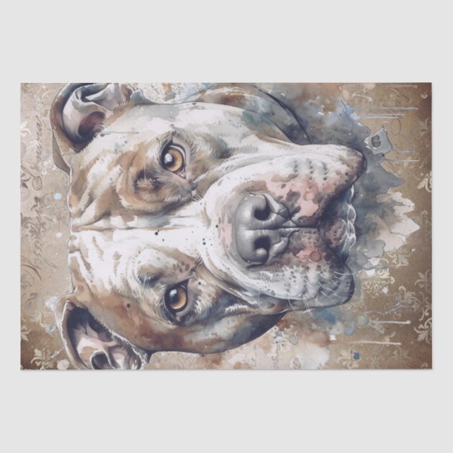 American Pitbull Dog Tissue Paper (Front)