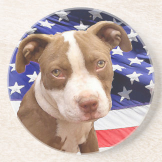 American Pitbull puppy Coaster