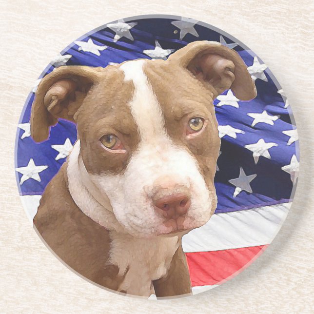 American Pitbull puppy Coaster (Front)