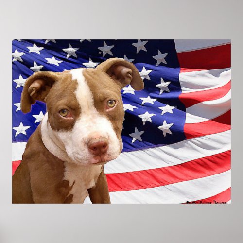 American Pitbull puppy Poster