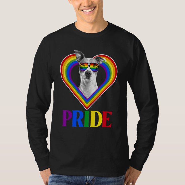 American Pitbull Rainbow Pride T-Shirt (Front)