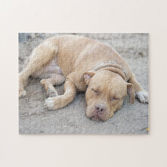 American Pitbull Terrier Dog Jigsaw Puzzle (Horizontal)
